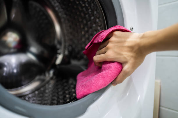 Best Mold Odor Removal Services  in Arlington, MN