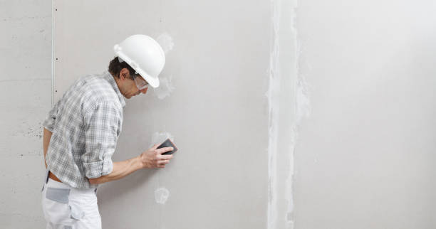 Best Mold Prevention Services  in Arlington, MN