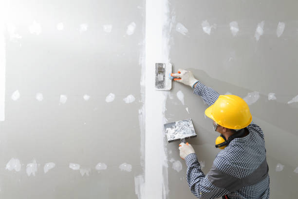 Best Mold-Related Health Consultation  in Arlington, MN