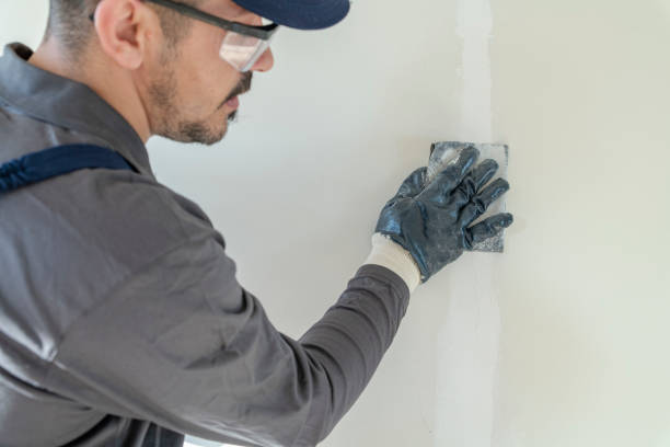 Reliable Arlington, MN Mold Removal Solutions