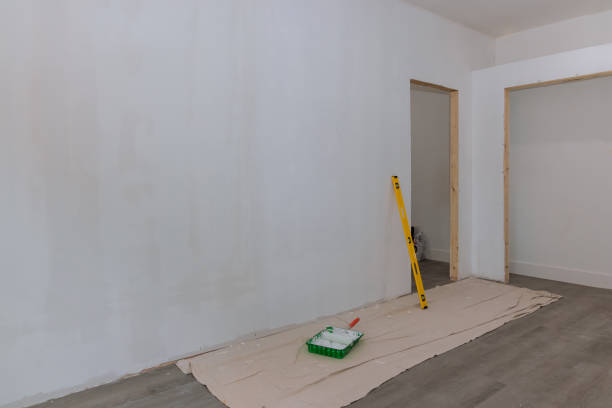  Arlington, MN Mold Removal Pros