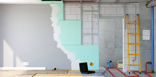 Best Basement Mold Removal  in Arlington, MN