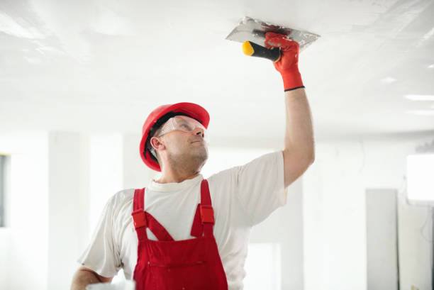 Best Mold-Related Health Consultation  in Arlington, MN