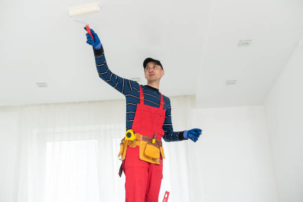 Best Post-Remediation Verification Testing  in Arlington, MN