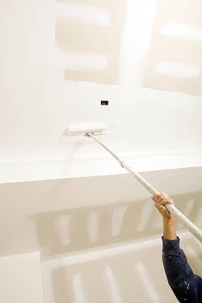 Best Post-Construction Mold Inspection  in Arlington, MN