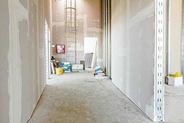 Best Asbestos and Lead Testing During Mold Inspection  in Arlington, MN