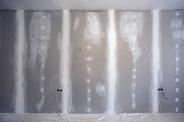 Best Asbestos and Lead Testing During Mold Inspection  in Arlington, MN