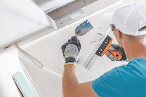 Environmental Consulting for Mold Prevention in Arlington, MN